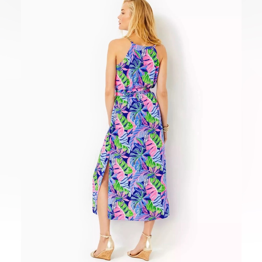 Lilly Pulitzer Joannah Silk Midi Dress - Picture 11 of 13